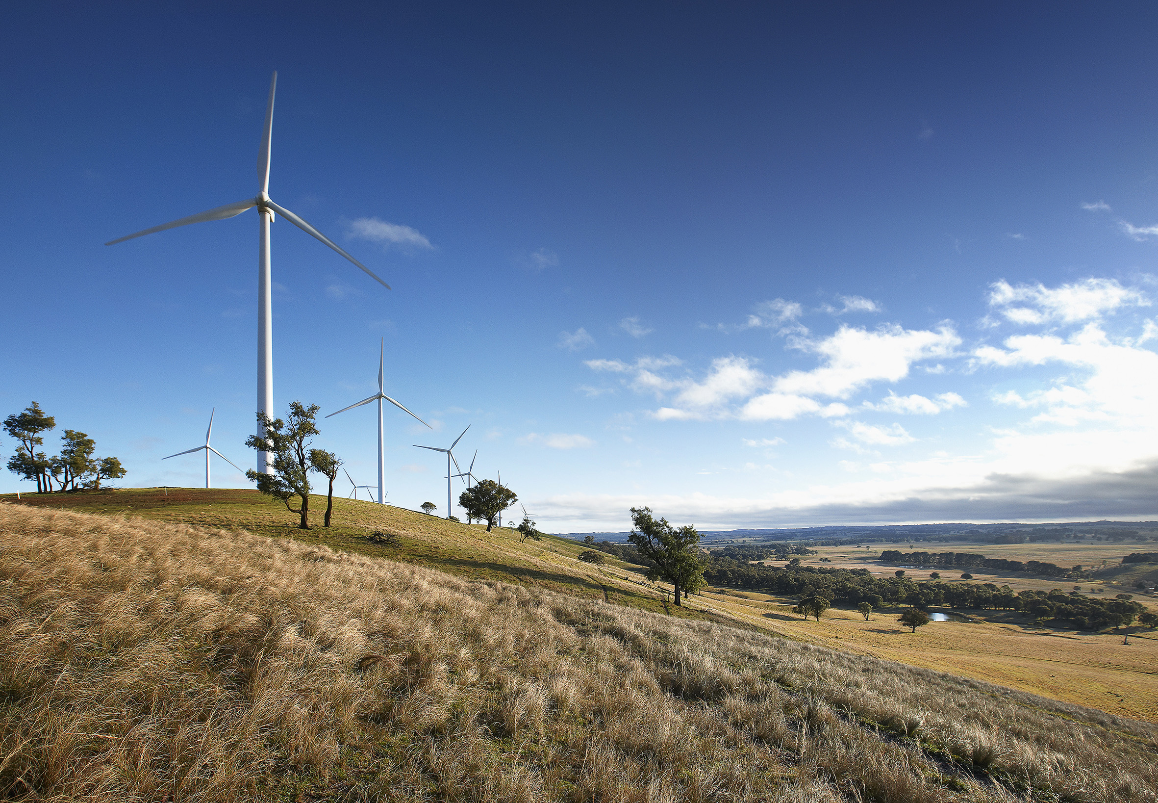 Acciona energía se une a schneider electric en una red global para acelerar la adopción corporativa de energías renovables